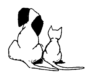 decorative graphic