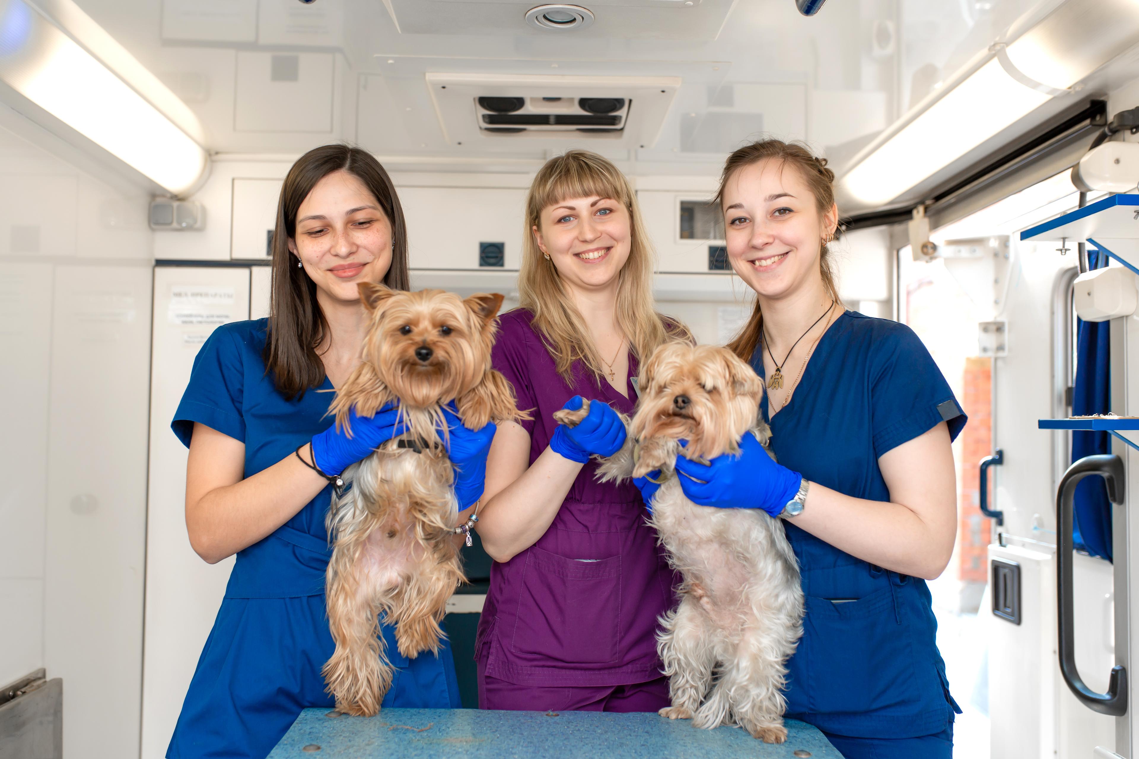 The full Paw Paw Veterinary Clinic staff outside the office